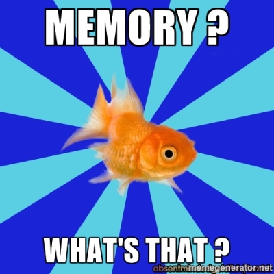 memory2